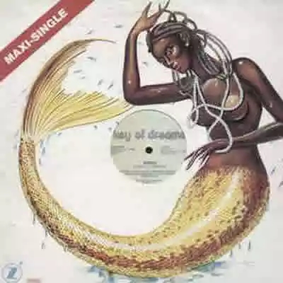 Chart track