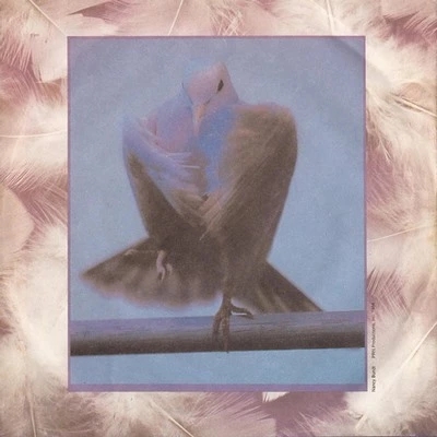 Pochette indisponible