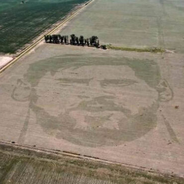 En Argentine, un agriculteur rend hommage à Lionel Messi avec un portrait géant en maïs