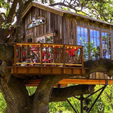 En Australie, un hôtel offre des chambres dans les arbres pour une immersion en pleine nature