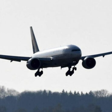 Un homme de 23 ans tente de s'introduire dans la soute d'un avion pour se rendre en Tunisie