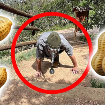 Un homme établi un record mondial en poussant une cacahuète jusqu'au sommet d'une montagne... avec son nez !