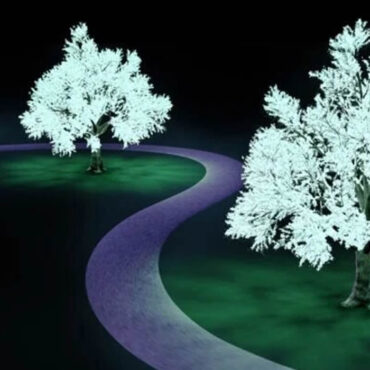 Des arbres lumineux pour éclairer les rues sans électricité