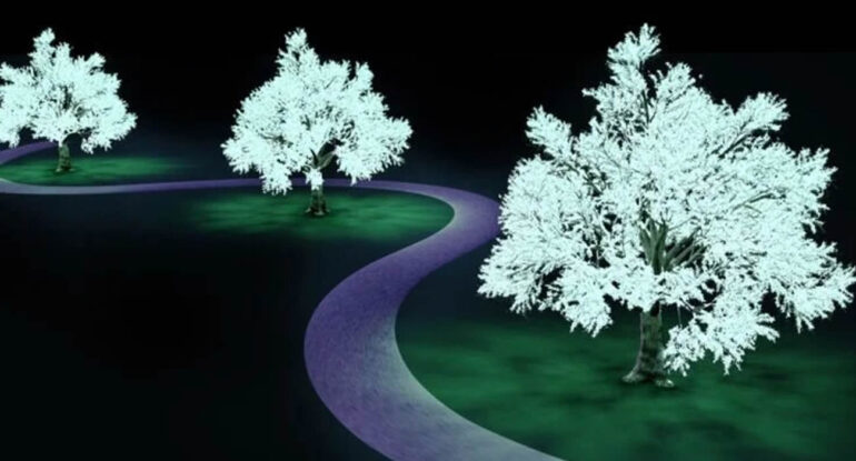 Des arbres lumineux pour éclairer les rues sans électricité