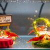 Un aquarium japonais organise des rendez-vous amoureux… pour crevettes