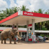 Un éléphant s’invite dans une station-service en Thaïlande