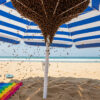 Un essaim de 4 000 abeilles s’installe sous le parasol d’un vacancier