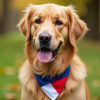 Un chien devient maire honoraire d’un village pendant une journée