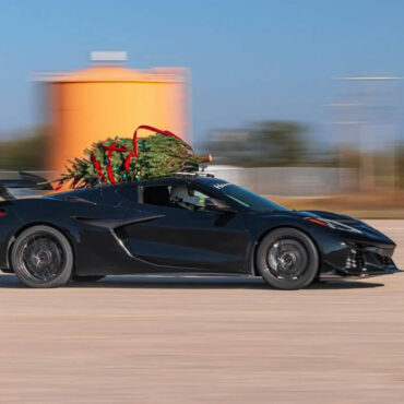 Le sapin de Noël… le plus rapide du monde !