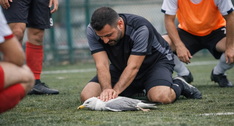 Le comptable qui a sauvé une mouette avec un massage cardiaque