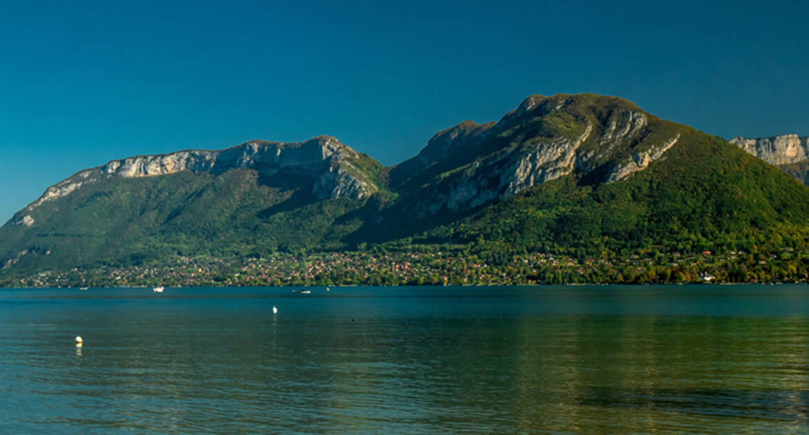 Annecy 2026 : le loup d’Intermarché s’invite sur l’affiche officielle du Festival du film d’animation